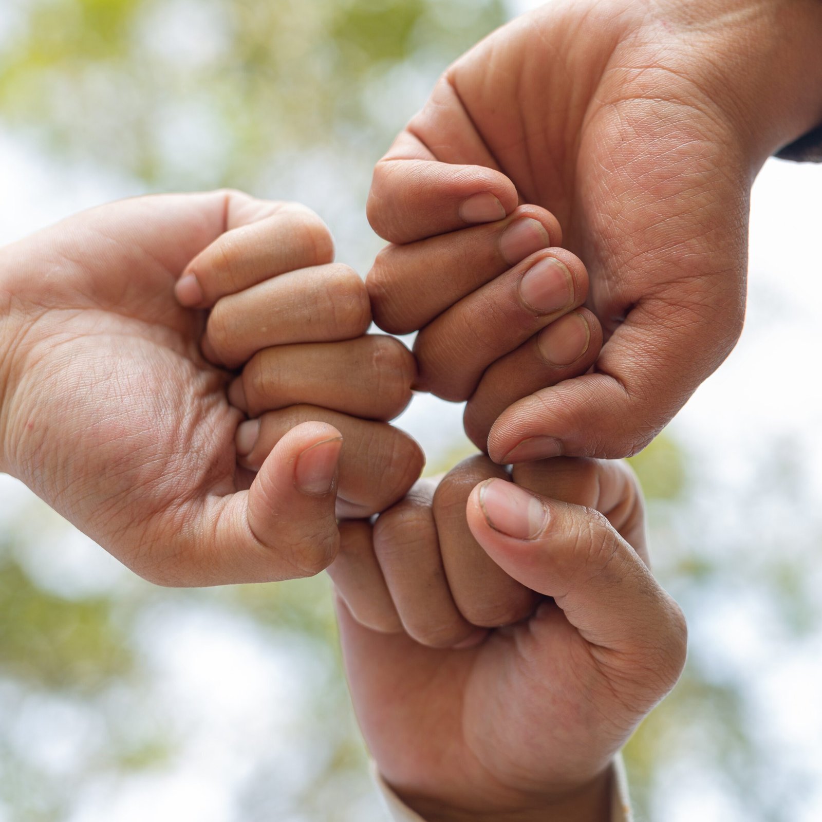 Aamal Center hands of trees growing seedlings Service